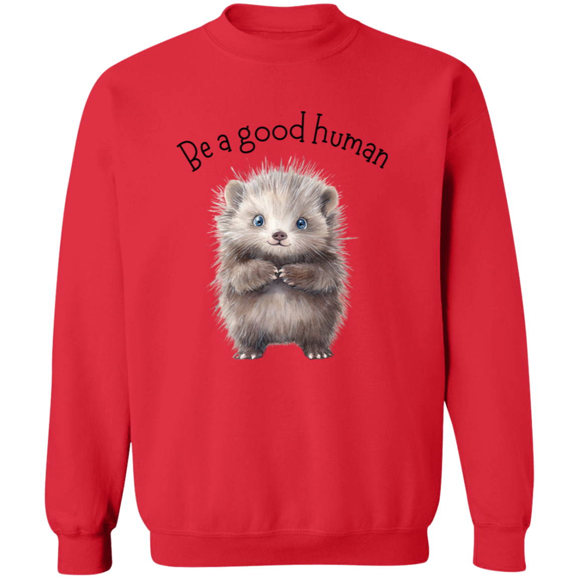 Be A Good Human, Cute Porcupine Cozy Pullover Sweatshirt, Inspirational Spread the Love Shirts, Choose your Color