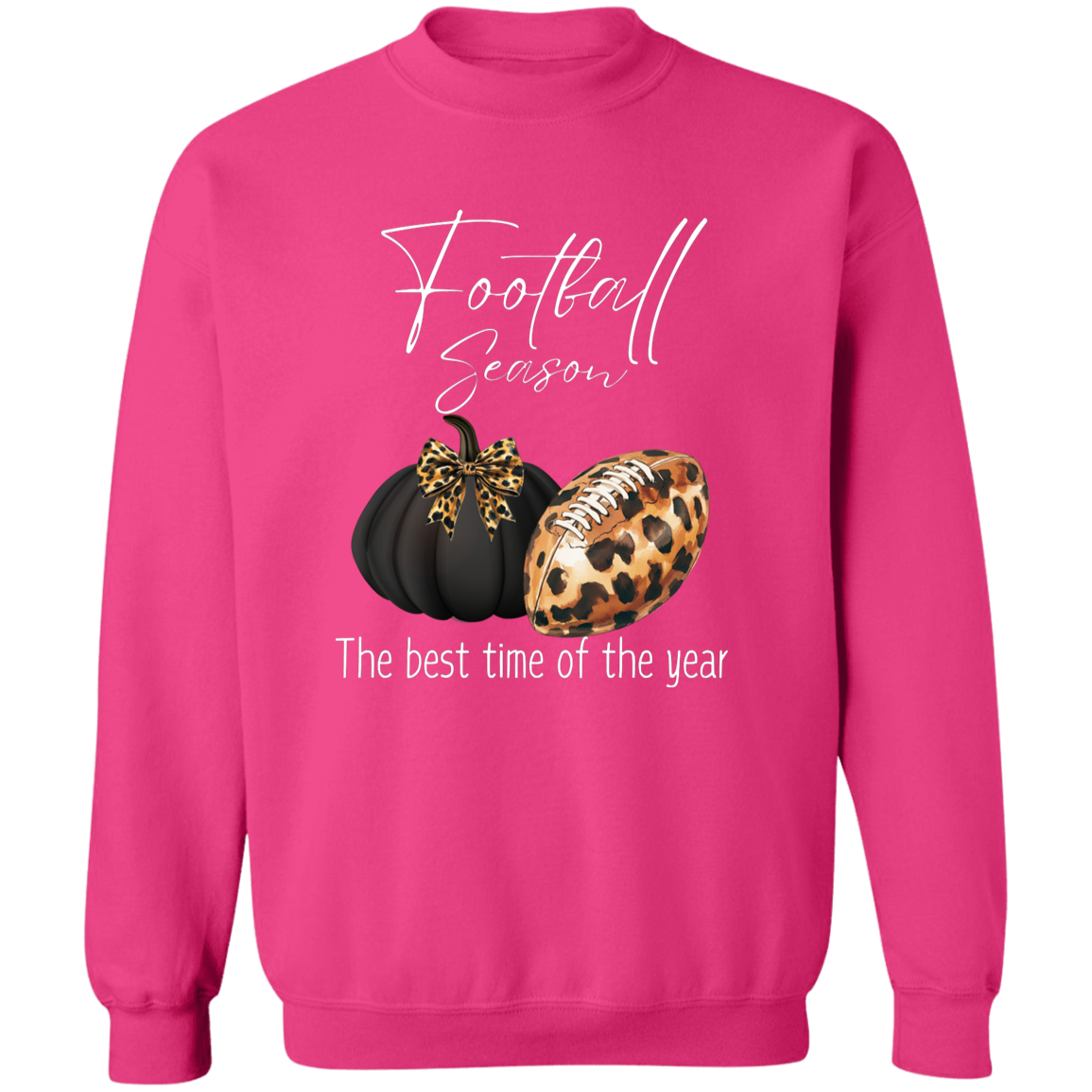 Football Season Leopard Print Pumpkin/Best Time of the Year Pullover Sweatshirt in Cool Fall Colors