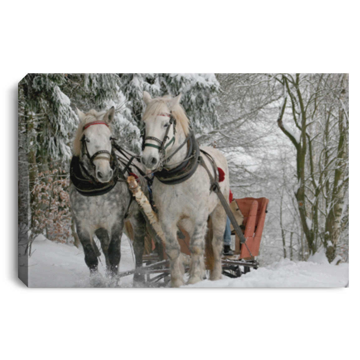 CANVAS HORSE AND SLEIGH JINGLE ALL THE WAY/ 3/4 INCH GALLERY WRAPPED CANVAS