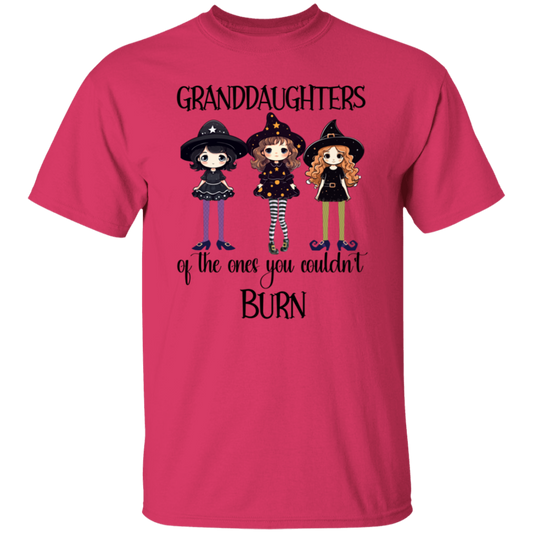 GRANDDAUGHTERS OF THE ONES YOU COULDN’T BURN/ SOFT LADIES TSHIRT