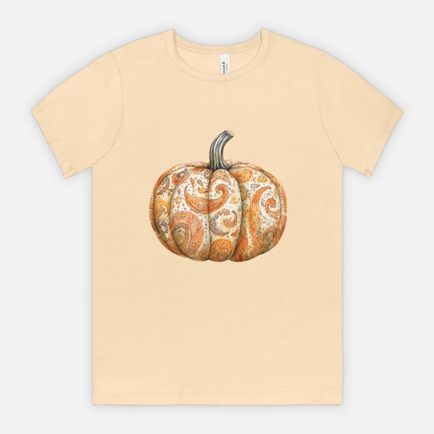 Ladies Elegant Paisley Pumpkin Tshirt Fall Colors Bella Canvas Tees