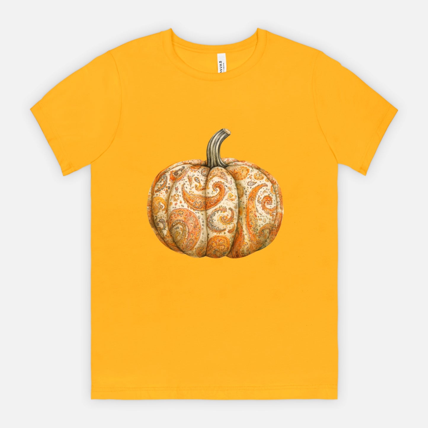 Ladies Elegant Paisley Pumpkin Tshirt Fall Colors Bella Canvas Tees